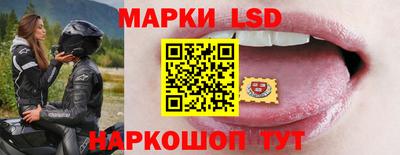 шишки Кандалакша