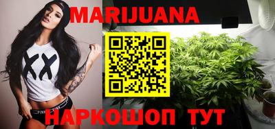 шишки Кандалакша