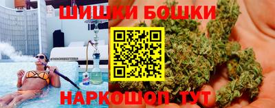 шишки Кандалакша