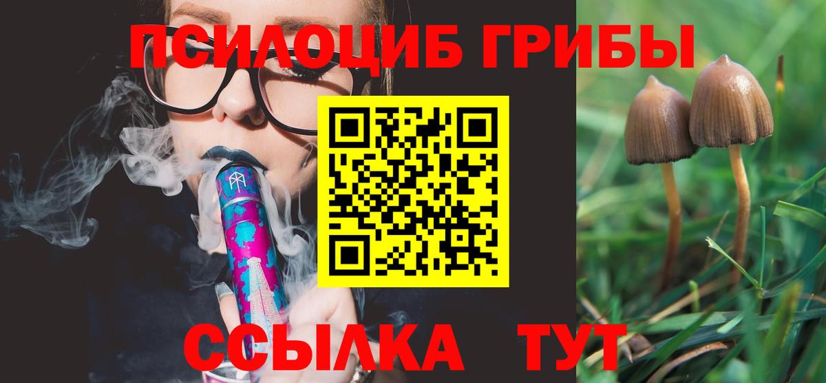 Галлюциногенные грибы Magic Shrooms  Псилоцибиновые грибы прущие грибы  Вход с VPN  Кизилюрт 